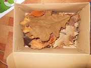 Pokusy a pozorování